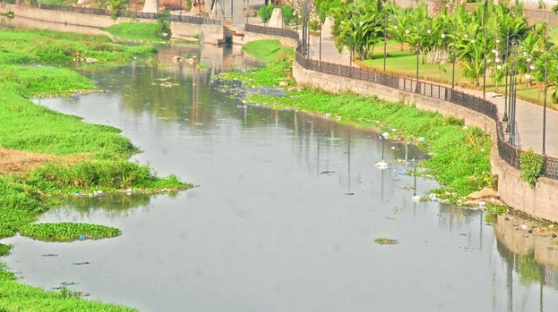 Analyzing the Musi Riverfront Development Controversy post thumbnail image