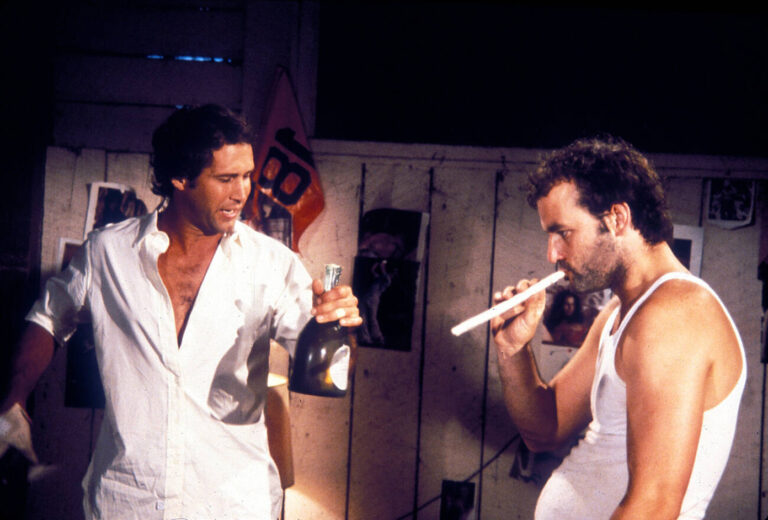 20 Behind the Scenes Stories of Airplane, Surely the Funniest Movie Ever Made post thumbnail image