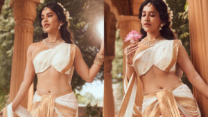 Nabha Natesh | దేవకన్యలా మెరిసిపోతున్న నభా నటేశ్‌