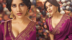 Nabha Natesh | శారీలో క్లీవేజ్ షోతో నభా నటేశ్ అందాల విందు