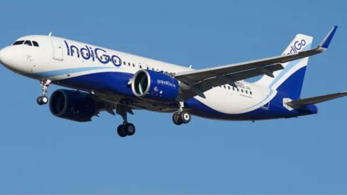 IndiGo Kolkata flight makes emergency landing after bird strike post thumbnail image