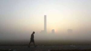 India among top 10 nations with largest forest carbon sinks: Report
