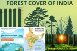India: అటవీ విస్తీర్ణంలో భారత్‌కు తొమ్మిదో స్థానం