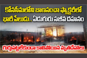 Fire Accident: బాణసంచా తయారీ కేంద్రంలో అగ్నిప్రమాదం ! ఆరుగురు సజీవ దహనం !