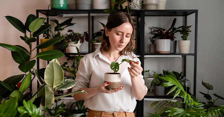 Indoor Gardening Ideas for Flats in Thrissur: Breathe Fresh Air