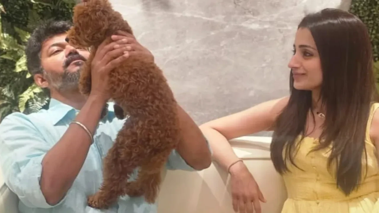 As Vijay and Sangeetha head for divorce, fans dig up alleged girlfriend Trisha Krishnan’s code for Thalapathy post thumbnail image