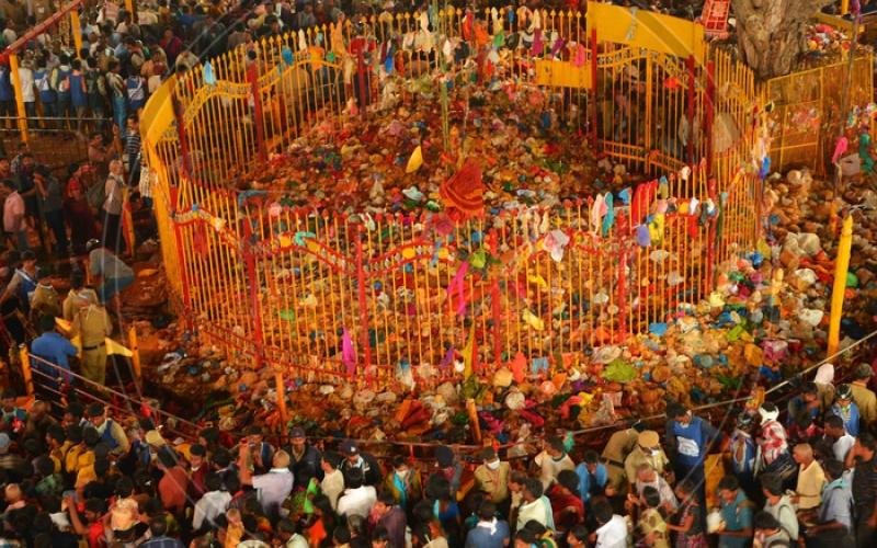 1.55 కోట్ల మంది భ‌క్తుల‌ మేడారం జాత‌ర ద‌ర్శ‌నం post thumbnail image